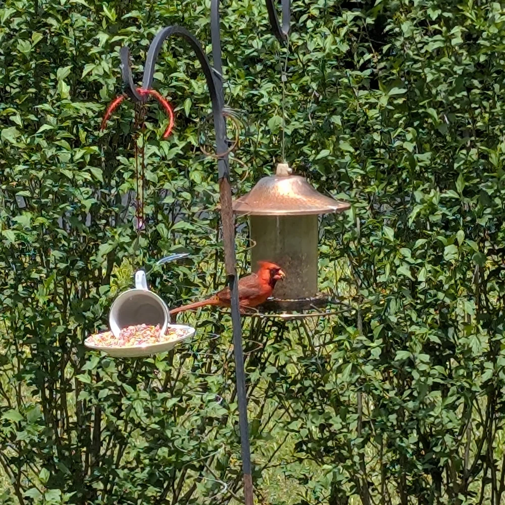 White Bird Feeder for Garden Birds Handcrafted
